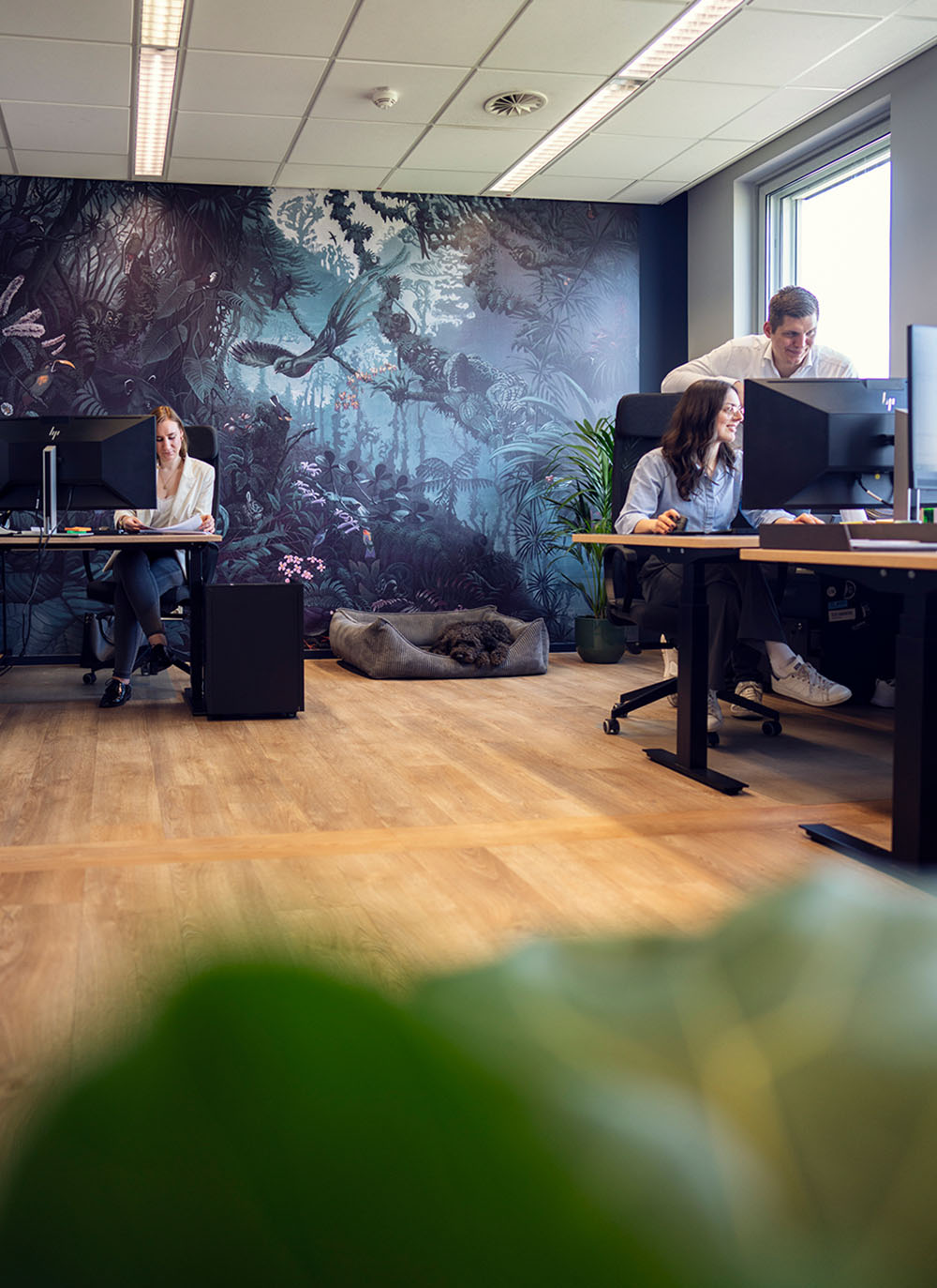 elbhandwerk-malereibetrieb-raeume